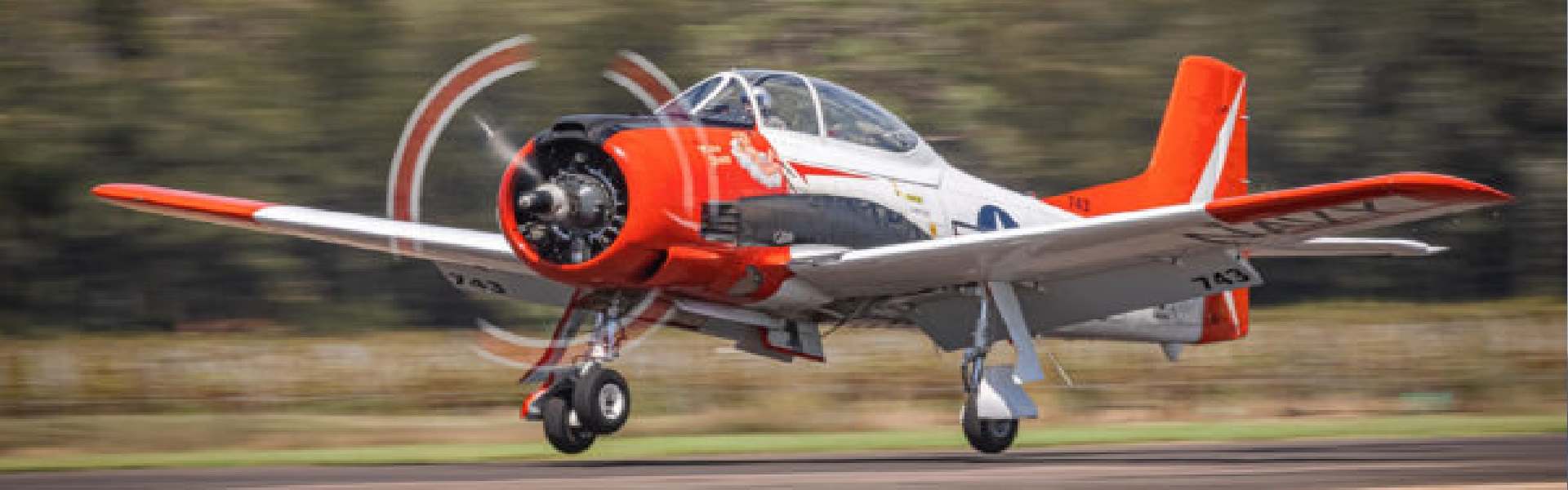 Warbird Trojan